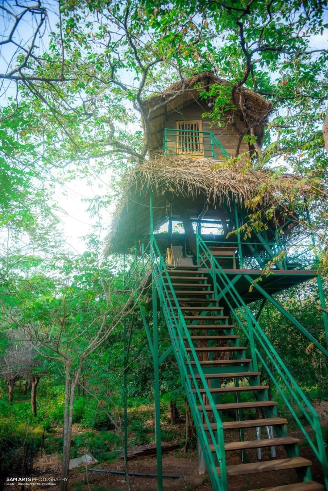Villa Wildescape Polonnaruwa Esterno foto