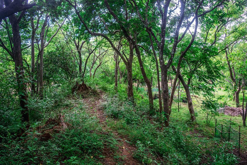 Villa Wildescape Polonnaruwa Esterno foto