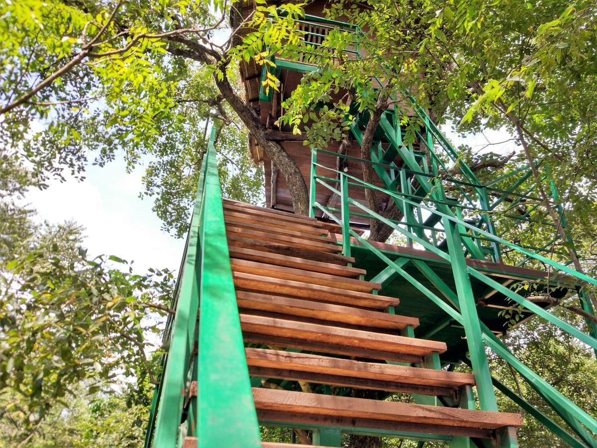 Villa Wildescape Polonnaruwa Esterno foto