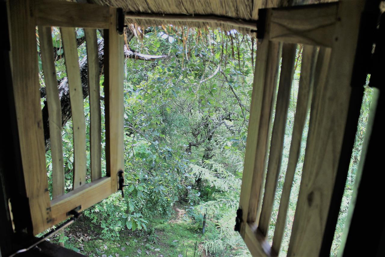 Villa Wildescape Polonnaruwa Esterno foto